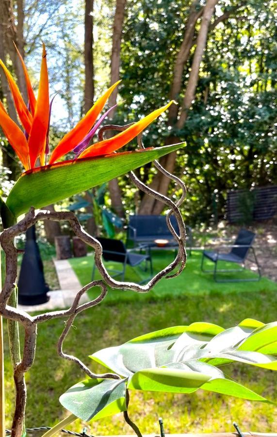Tiki House M-Home-Climatise - Belle Parcelle ! Saint-Chéron Extérieur photo